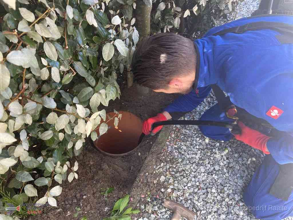 Rioolvliegjes Raalte Rioolvliegjes Raalte